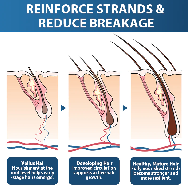 Rolimey® Stem Cell Hair Cycle Roller 5 Rolimey® Stem Cell Hair Cycle Roller