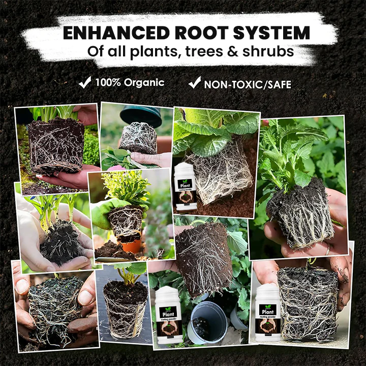 LIMETOW® Plant Rooting Powder 4 LIMETOW® Plant Rooting Powder