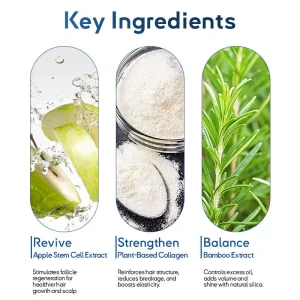 Rolimey® Stem Cell Hair Cycle Roller 19 Rolimey® Stem Cell Hair Cycle Roller