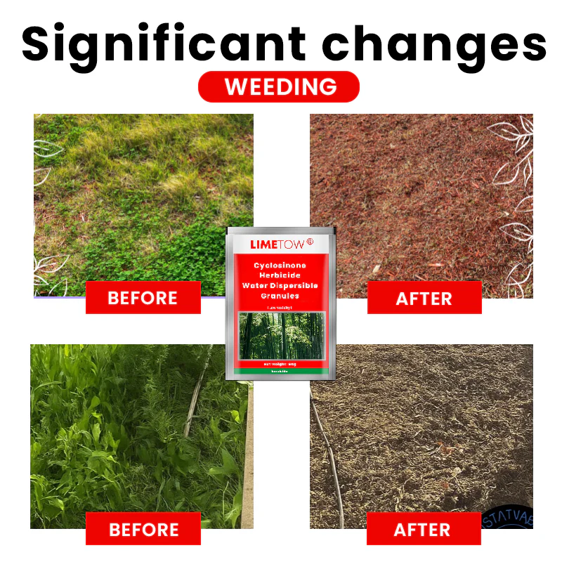 LIMETOW® Cyclosinone Herbicide Water Dispersible Granules 4 LIMETOW® Cyclosinone Herbicide Water Dispersible Granules