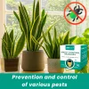 LIMETOW® Insect Control Granules 6 LIMETOW® Insect Control Granules
