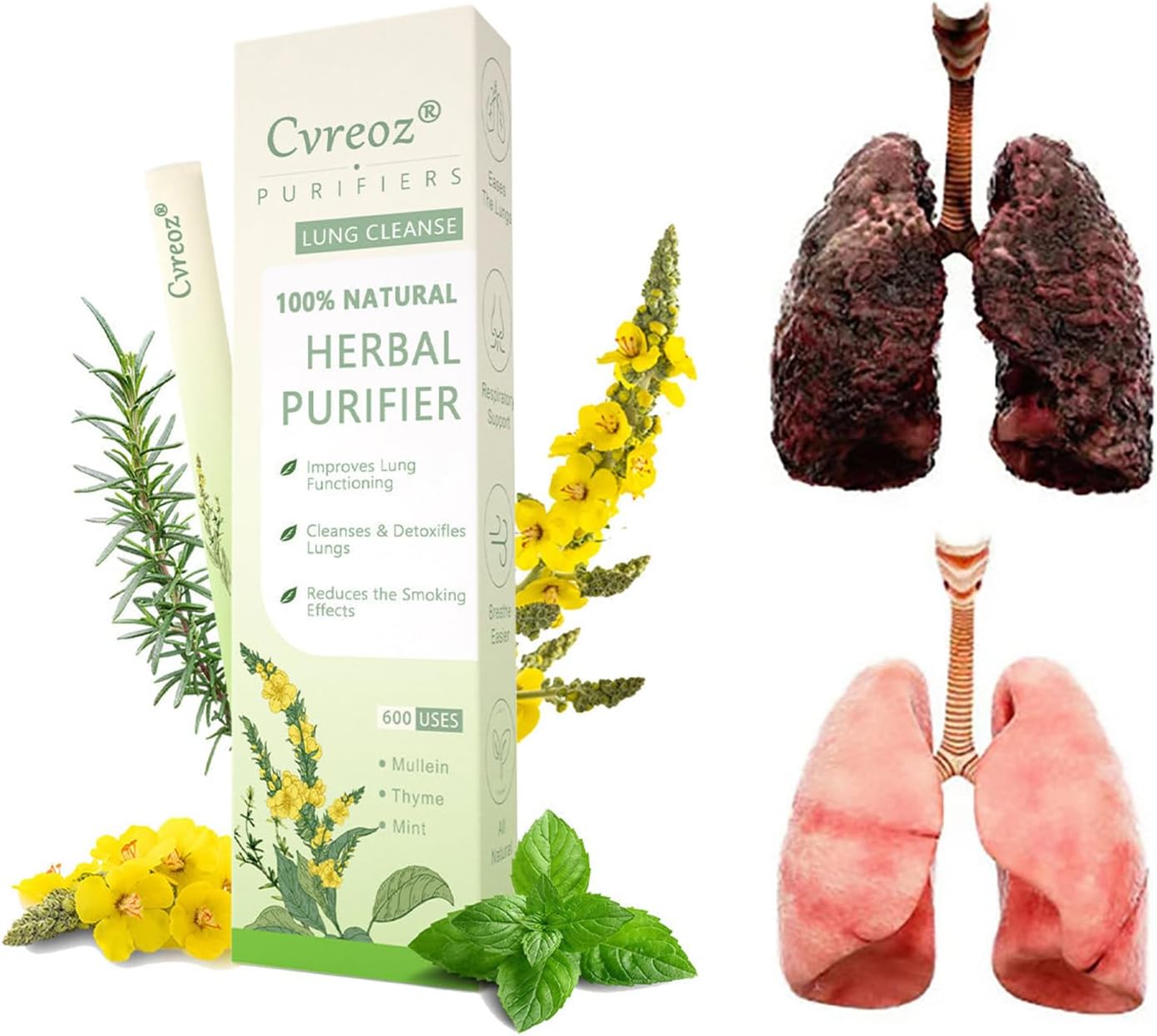 Cvreoz® Mullein Herbal Lung Purifier 7 Cvreoz® Mullein Herbal Lung Purifier