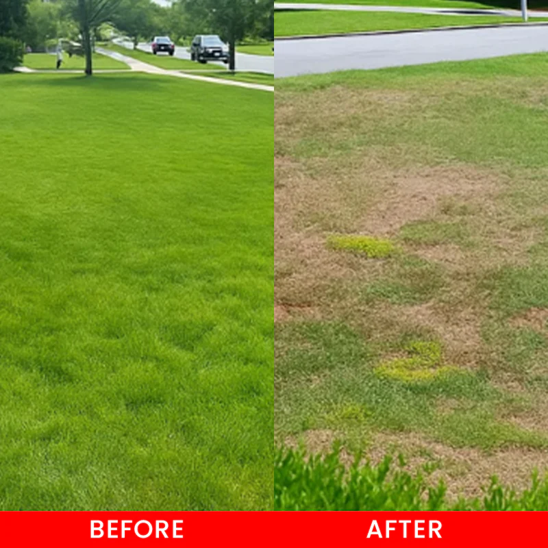 LIMETOW® Cyclosinone Herbicide Water Dispersible Granules 7 LIMETOW® Cyclosinone Herbicide Water Dispersible Granules