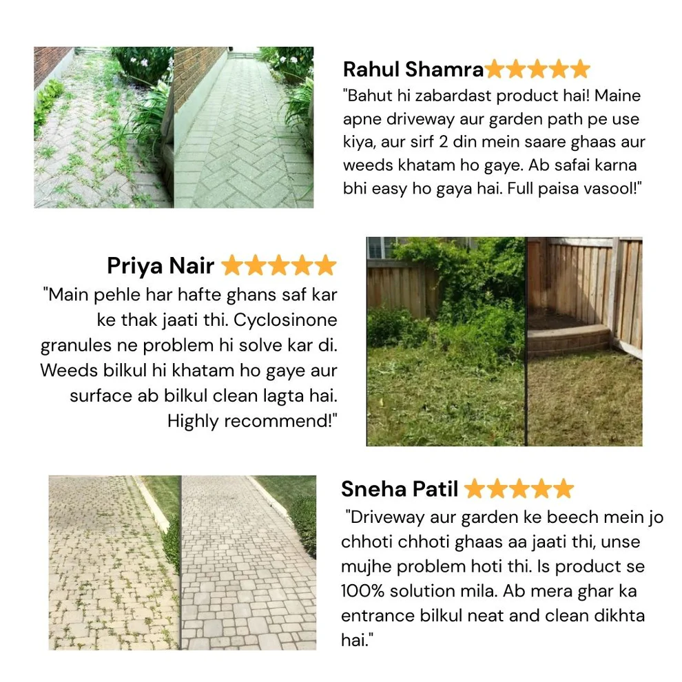 Cyclosinone Herbicide Granules 500gm 3 Cyclosinone Herbicide Granules 500gm