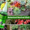 LIMETOW™ Botanical Revival Elixir 6 LIMETOW™ Botanical Revival Elixir