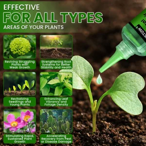 LIMETOW® Botanical Revival Elixir 20 LIMETOW® Botanical Revival Elixir