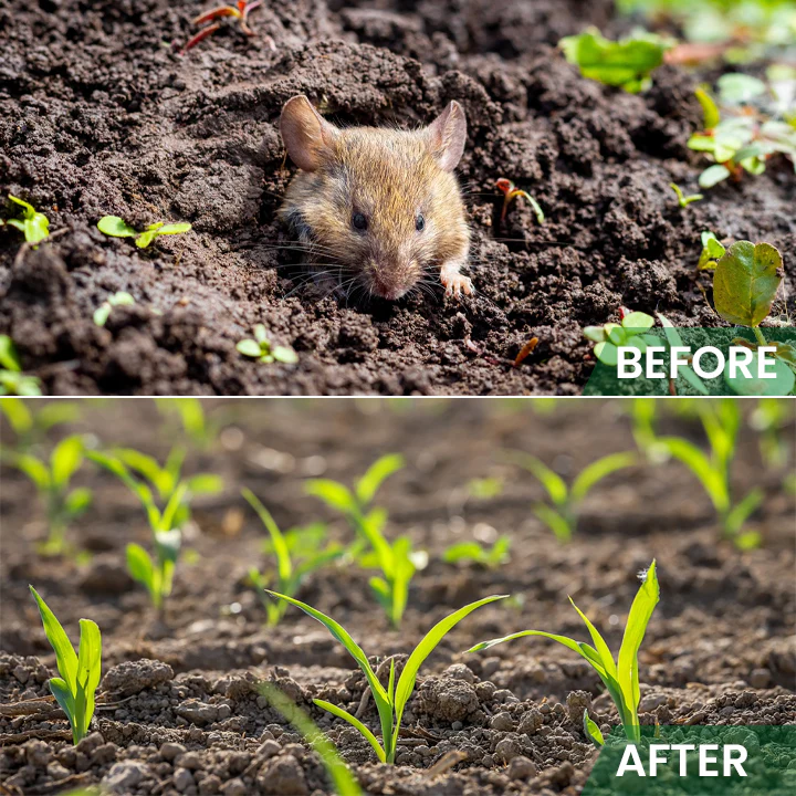 LIMETOW™ Rat Repellent Cream for Gardeners 11 LIMETOW™ Rat Repellent Cream for Gardeners