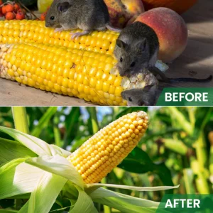 LIMETOW™ Rat Repellent Cream for Gardeners 19 LIMETOW™ Rat Repellent Cream for Gardeners