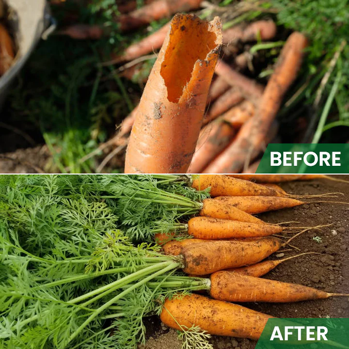 LIMETOW™ Rat Repellent Cream for Gardeners 9 LIMETOW™ Rat Repellent Cream for Gardeners