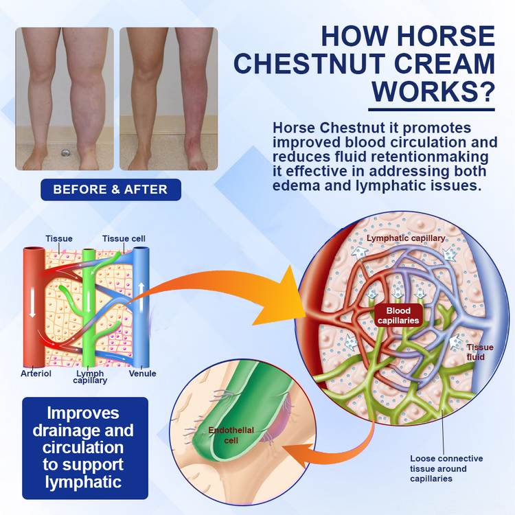 Elycura™ Lymphatic Drainage Massage Cream 5 Elycura™ Lymphatic Drainage Massage Cream